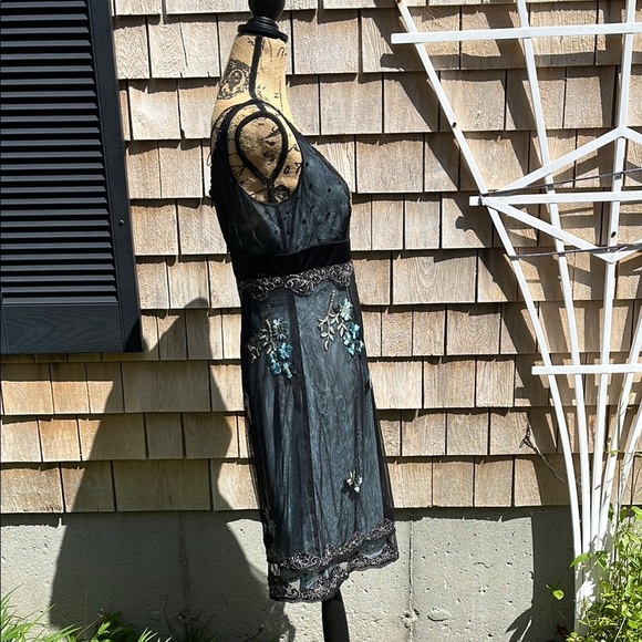 NWT Adriana Papell lace embroidered net sheer dress- gown- Size 10 - Picture 11 of 17